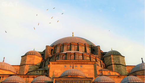 Turkey Image