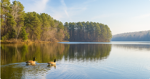 Top Travel Destinations from RDU - Cary / Apex / Wake Forest
