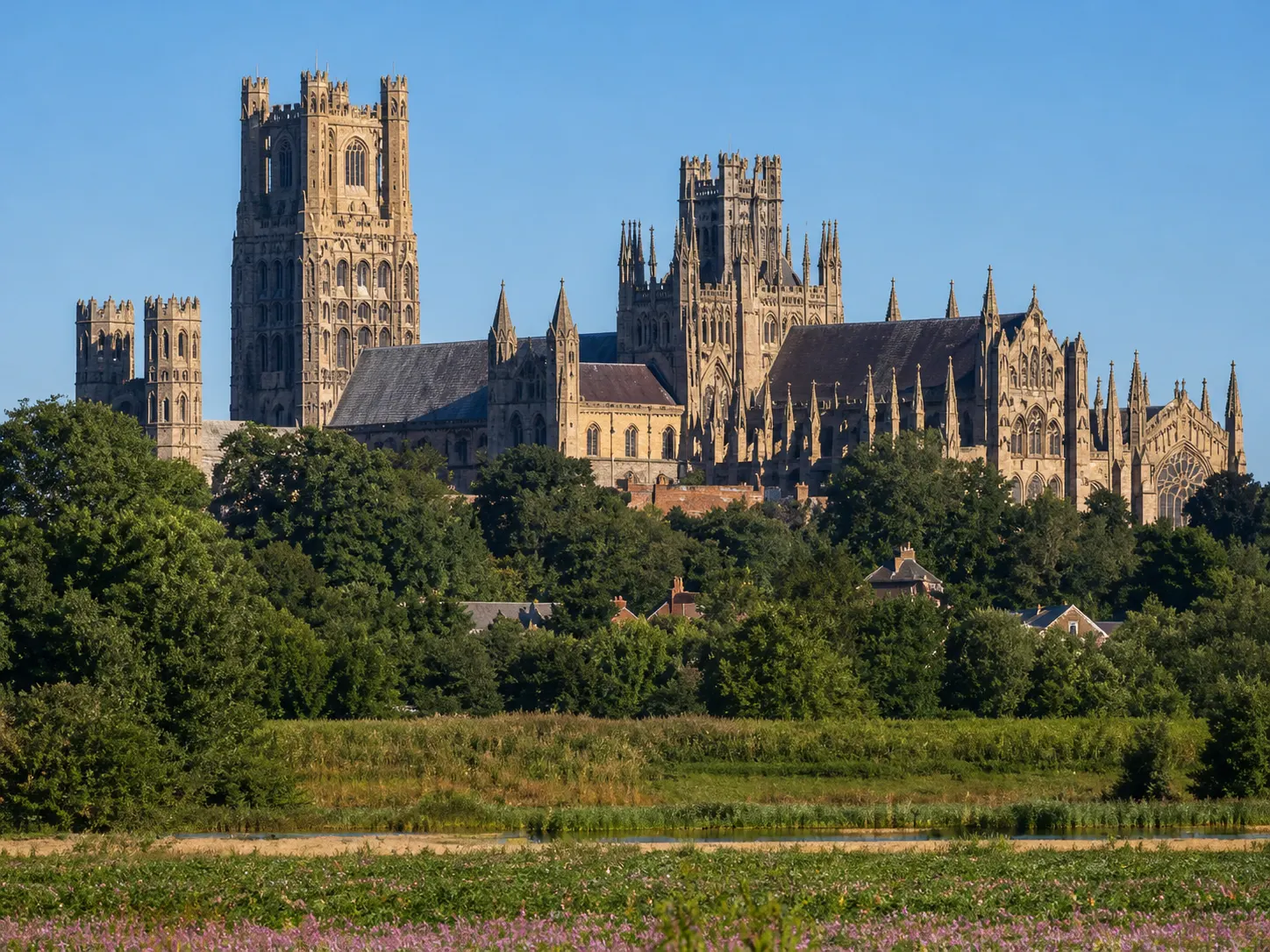 Ely View